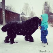 Превью фото № 137266