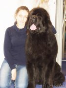 Превью фото № 137268