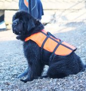 Превью фото № 137271