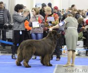 Превью фото № 137282