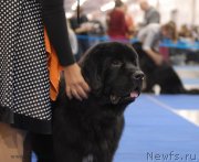 Превью фото № 137327