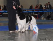 Превью фото № 137362