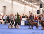 Превью фото № 137414