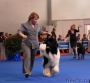 Превью фото № 137418