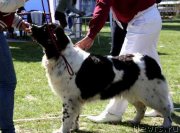 Превью фото № 137449