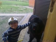 Превью фото № 137509