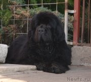 Превью фото № 137543