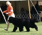 Превью фото № 137555