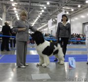 Превью фото № 137581