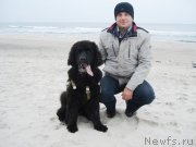 Превью фото № 137593