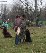 Превью фото № 137616