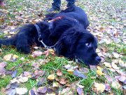 Превью фото № 137617