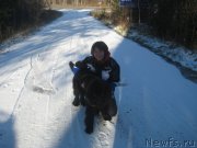 Превью фото № 137622