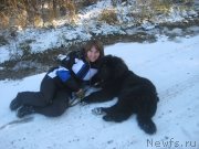 Превью фото № 137623