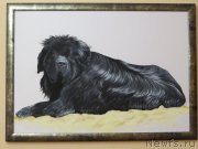 Превью фото № 137681