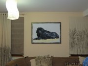 Превью фото № 137682