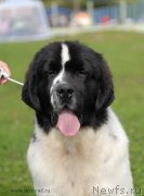 Превью фото № 137691