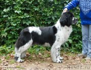 Превью фото № 137703