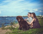 Превью фото № 137746