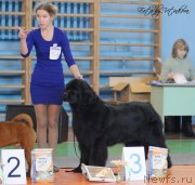 Превью фото № 137758