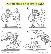 Превью фото № 137822