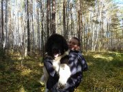 Превью фото № 137838