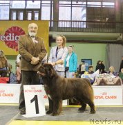 Превью фото № 137850