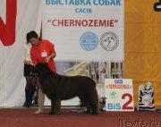 Превью фото № 137852