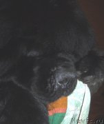 Превью фото № 138091