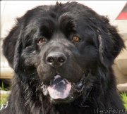 Превью фото № 138105