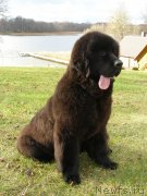 Превью фото № 138119