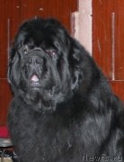 Превью фото № 138147