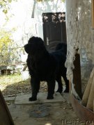 Превью фото № 138155