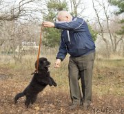 Превью фото № 138266