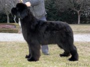 Превью фото № 138315