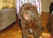 Превью фото № 138412