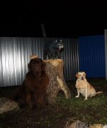 Превью фото № 138464