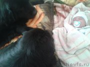 Превью фото № 138521