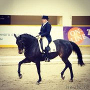 Превью фото № 138587