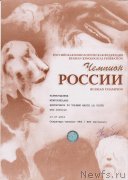 Превью фото № 138731