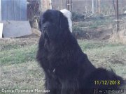 Превью фото № 138742