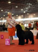 Превью фото № 138771