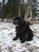 Превью фото № 138800