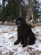 Превью фото № 138801