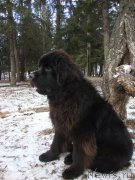 Превью фото № 138803