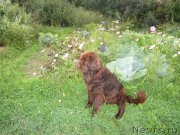 Превью фото № 138866