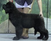 Превью фото № 138941