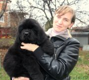 Превью фото № 138989