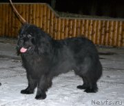 Превью фото № 139000