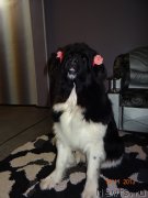 Превью фото № 139074